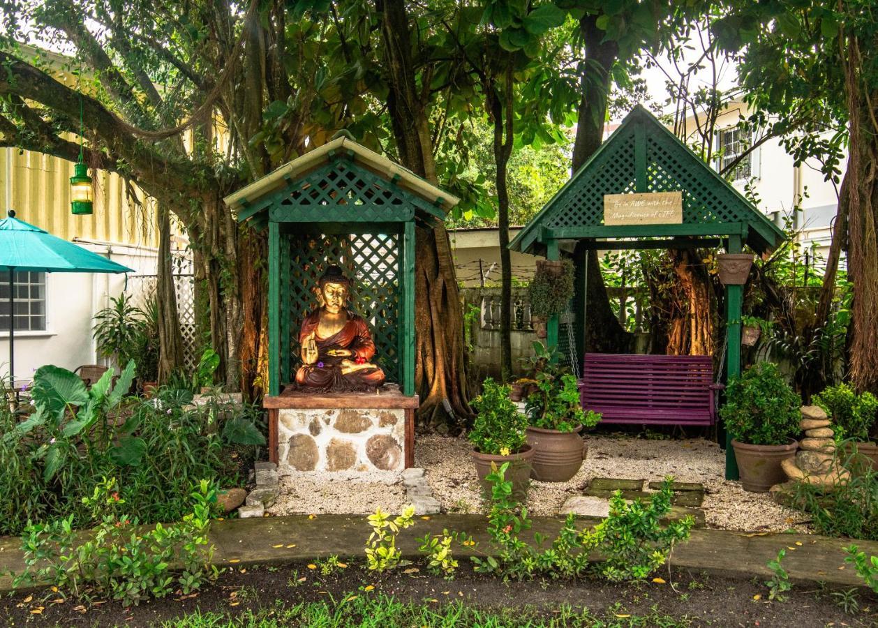 Harbour View Boutique Hotel & Yoga Retreat Belize City Exterior foto